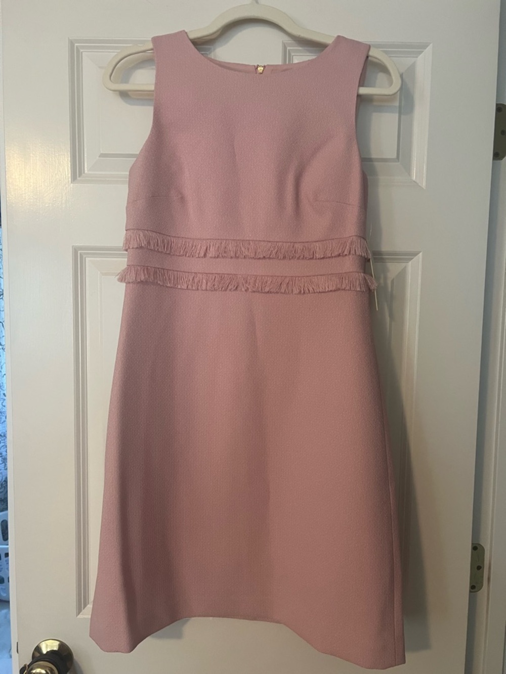 Eliza J Sleeveless Pink Fringe Waist A-Line Dress Size 2